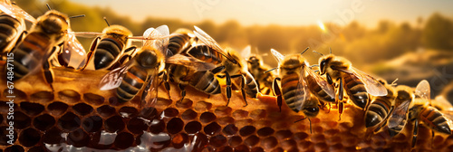 Organic beekeeping, bees swarming around honeycombs, frames lifted to reveal golden honey, protective mesh suits, summer day