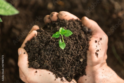A hand of the man with young plant and soil.