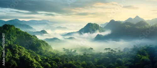 In the morning as the fog cleared a magnificent green landscape emerged revealing towering mountains lush forests and a breathtaking jungle creating the perfect background for an immersive 