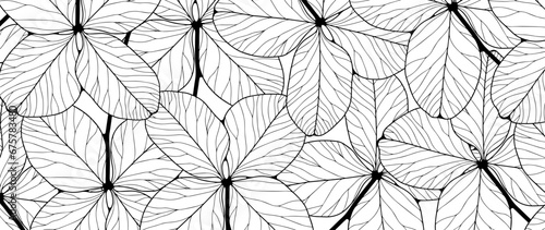 Black and white botanical background with clover leaves. Vector background for decor, wallpaper, covers, coloring pages.