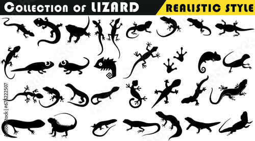 Lizard vector illustration collection, realistic style. Black silhouettes of diverse lizard species Include gecko, iguana, chameleon, monitor, skink, anole, salamander, newt, komodo dragon