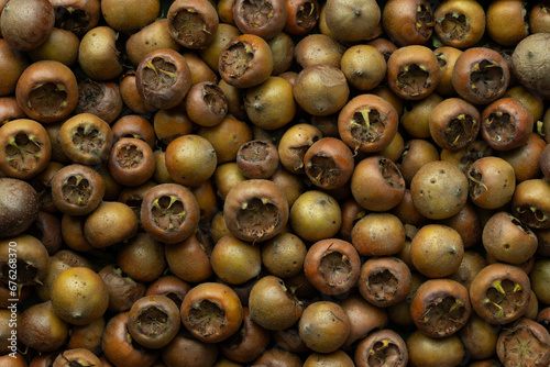 Medlars in autumn, sweet when brown, forgotten fruit