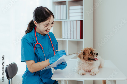 Beautiful Asian female veterinarian doing a health check on a dog, caring doctor at the veterinary clinic ​