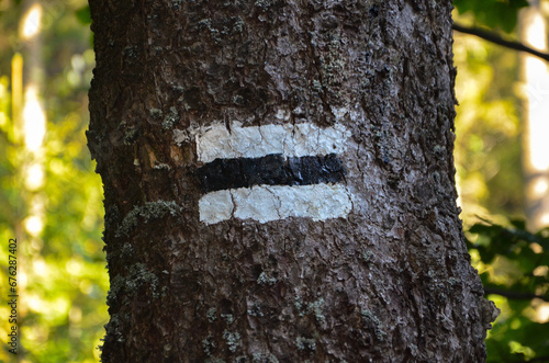 sign on the tree