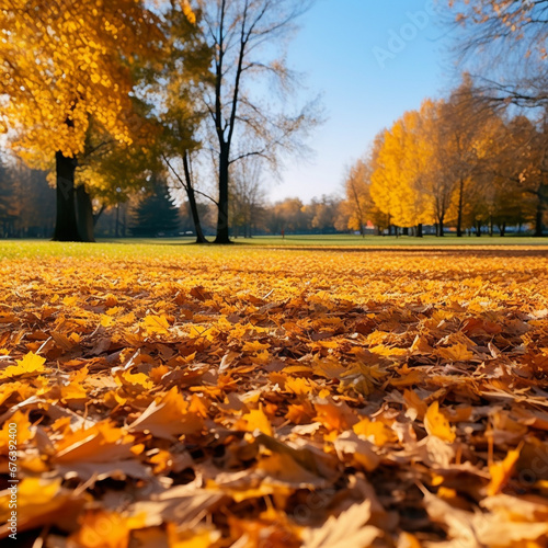 Beautiful Autumn leaves and background HD 8K wallpaper Stock Photographic Image