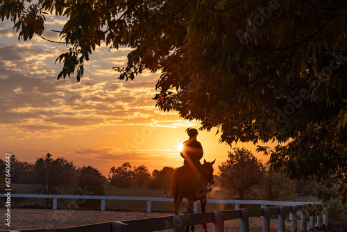 Silhouette of the back of a horse and rider warming up in a ring with trees at sunrise.