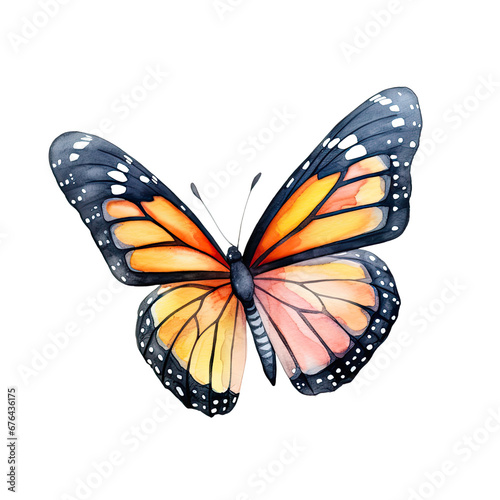 Watercolor Butterfly Clipart Illustration. Isolated elements on a white background.