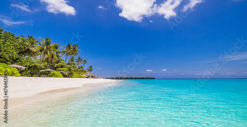Amazing nature beach. Stunning sea coast palm trees sunny moody sky. Summer vacation travel holiday background. Maldives paradise destination. Luxury popular travel summer holiday landscape seascape