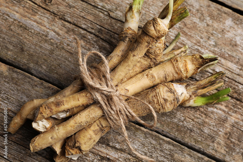 Bunch of fresh horseradish roots on wooden table, closeup