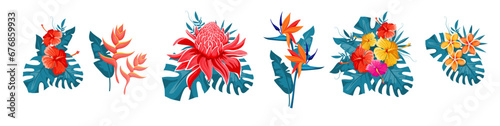 Set of tropical flowers, exotic collection with monstera leaves. Hibiscus, plumeria, bird of paradise, etlingera, heliconia bihai, red palulu. Vector illustration.