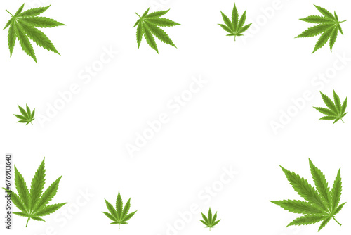 several marijuana leaves form a landscape frame without a background