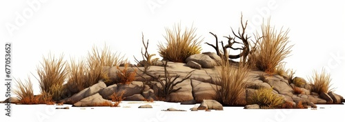 desert scene cutout, dry plants with rocks isolated on white background banner, Generative AI