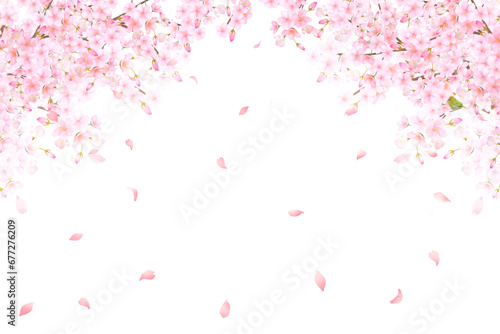 美しい薄いピンク色の桜の花と花びら春の水彩白バックフレーム背景素材イラスト