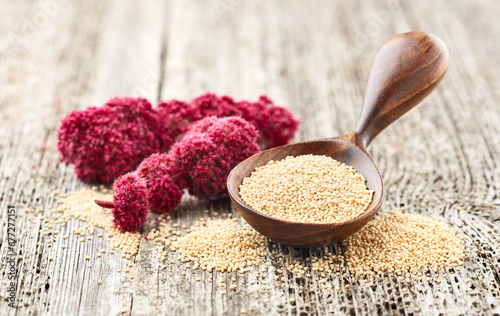 Amaranth plant and seeds on wooden background