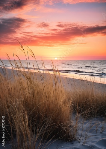 grassy area beach sunset background dune springtime morning plants environment duchy flowing rhythms full