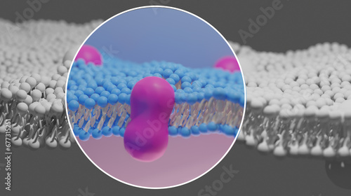 3D Illustration of the Extracellular Matrix. Detailed section highlighted in color and circled with a white outline. Pink. Blue. Yellow. Scientific Illustration