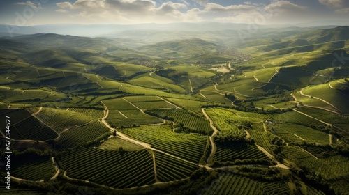 aerial view, vineyards, background, copy space, 16:9