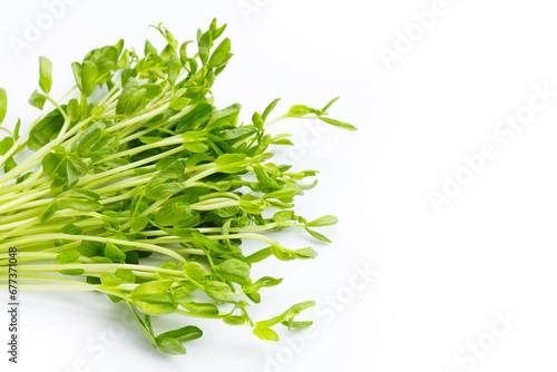Pea Sprouts on white background.