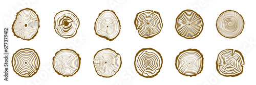 Wood Tree Rings Vector Set. Wood Tree Trunk Rings