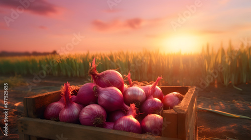 Red onions harvested in a wooden box with field and sunset in the background. Natural organic fruit abundance. Agriculture, healthy and natural food concept. Horizontal composition.