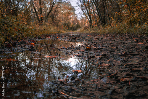 Autumn puddle