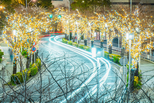 横浜みなとみらい さくら通り沿いのイルミネーション【神奈川県・横浜市】 Beautiful illumination of the street in Yokohama Minato Mirai - Kanagawa, Japan