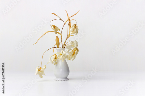 A bouquet of dry white tulips in a white ceramic vase.