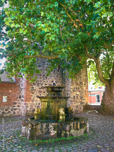 Der Brunnen am Stadt Tor