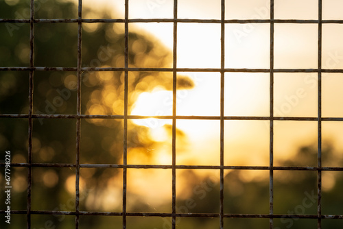A view through the bars of the sunset and the sunlight falling on the forest and water. Concept of prison and prison cell. The view from the prison cell. The concept of freedom.
