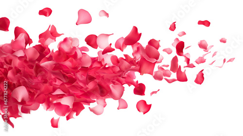 Dance of floating pink petals in the air, cut out