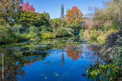 紅葉を映す睡蓮の池