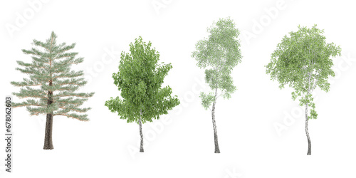 Silver birch,Alder trees with transparent background, 3D rendering, for illustration, digital composition, architecture visualization