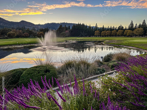 A fountain is in the middle of a lake in a golf course. Purple flowers are growing in front. A sunset sky with pink clouds are in the background.