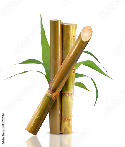 Sugar cane isolaed on white background