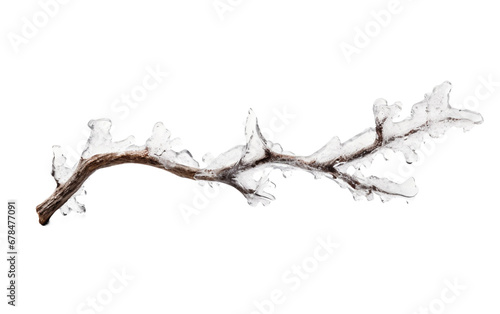 Branch of Cute Cold Frost Covered Twig with Tiny Ice Form Isolated on Transparent Background PNG.