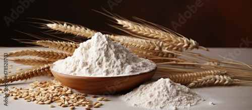 Whole grain and wheat flour Whole wheat flour