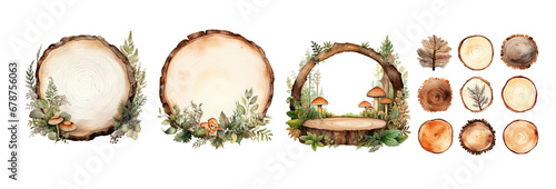 watercolor wood slice ornament set. Hand drawn isolated on transparent background.