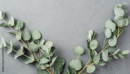 eucalyptus branches on pastel gray background with copy space top view mockup image
