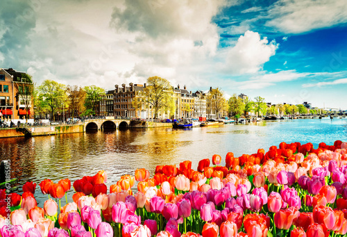 embankment of Amstel canal with spring tulips in Amsterdam, Netherlands, retro toned