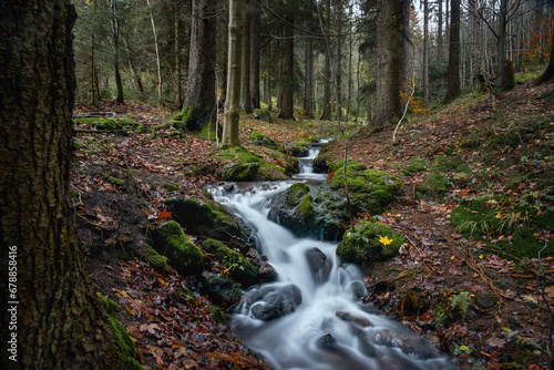 Gebirgsbach im Thüringer Wald im Herbst