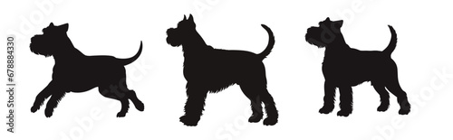 Set of schnauzer silhouette, dog silhouette - vector illustration