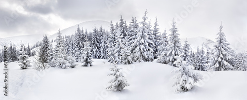 Winter landscape of mountains with path with footprints in snow following in fir forest and glade