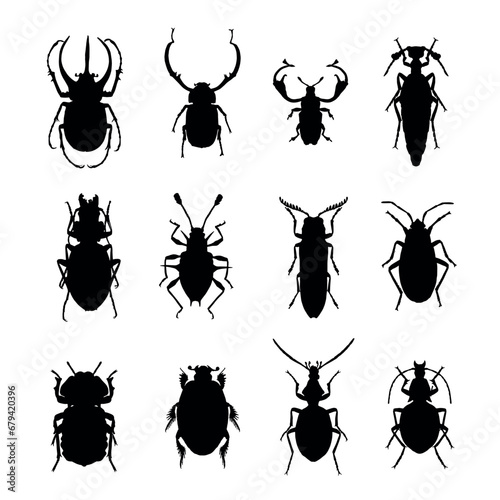 set of insects vector eps 10