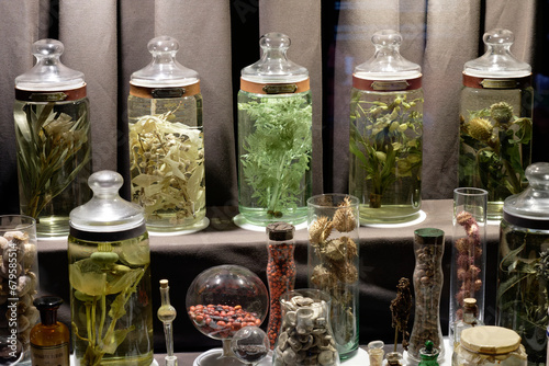 Several glass jars containing different poisonous or hallucinogenic plants such as jimsonweed, etc.
