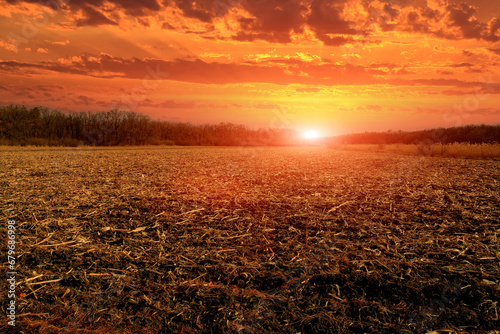 sunset over farming field