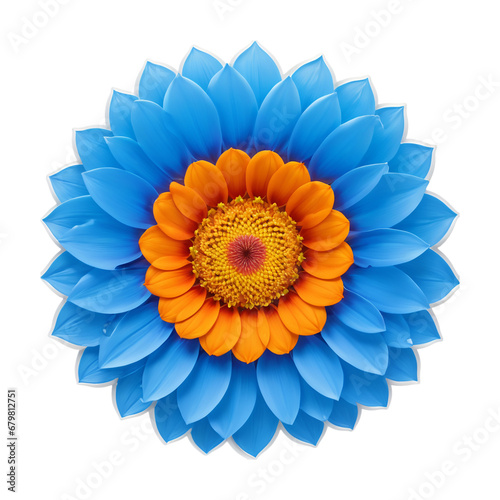 blue and yellow flower on transparent background PNG image