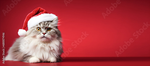 Happy cat in santa hat costume sitting on red background