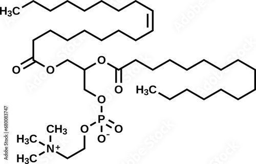 Soy lecithin structural formula, phosphatidylcholine vector illustration