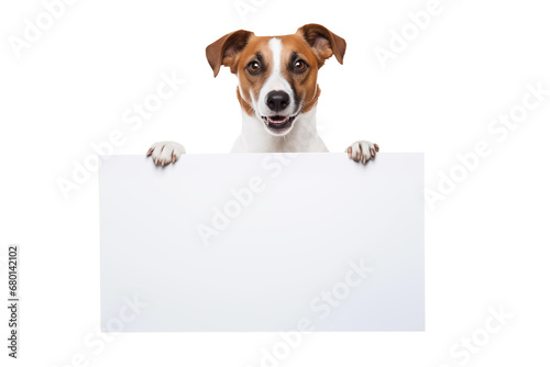 Jack russell terrier dog holding a white blank paper or placard with room for your marketing text. Isolated on transparent background. For web banner or social media cover