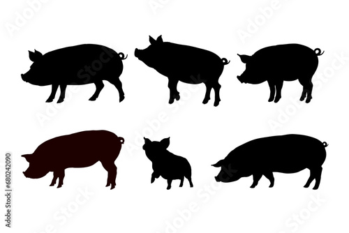Set of pig silhouette - vector illustration
